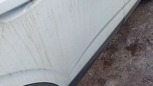 Накладки на пороги Renault Arkana Рено Аркана