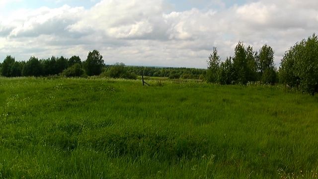 Под проливными дождями, под тёплыми ливнями смотреть онлайн