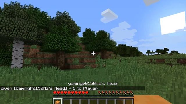 How To Get An Alex Head In Minecraft смотреть онлайн