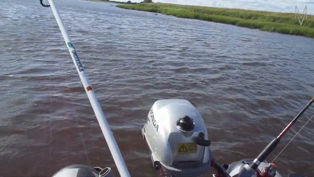 Волхов. Бешенный клёв.