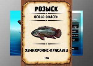 Мутанты рр3. Хемихромис-красавец. Нил.