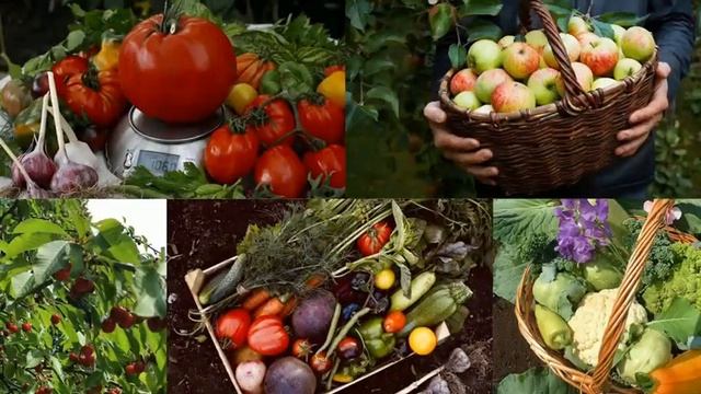 Усадьба мечты к продаже. смотреть онлайн