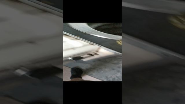 приколдэсы