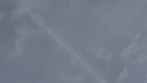 В гостях у друга детства Володи, голуби николаевские, Самарская обл., с.Пестравка.