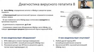 Вирусные гепатиты (лабораторная диагностика). Лекция для студента и практикующего врача.