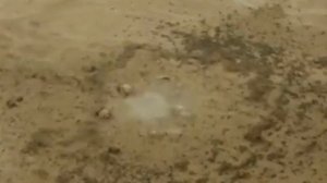 Азербайджан  Azerbaijan  Грязевые вулканы  Mud volcanoes