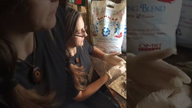 Natureworks Garden Center Milkweed Fluff смотреть онлайн