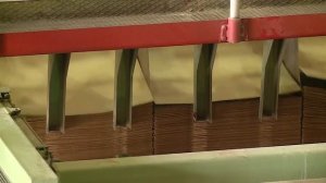 "Путеводитель по Карелии".  Питкяранта