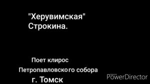 "Херувимская" Строкина.