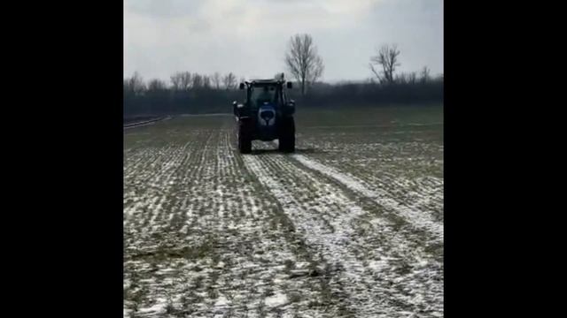 Внесение органического удобрения из куриного помета