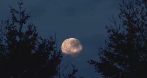 30 минут музыки для ГЛУБОКОГО СНА ★︎ Мгновенное засыпание★︎ Дельта-волны