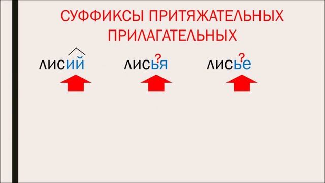 Притяжательные прилагательные. Суффиксы притяжательных прилагательных. 6 класс