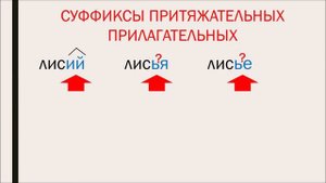 Притяжательные прилагательные. Суффиксы притяжательных прилагательных. 6 класс