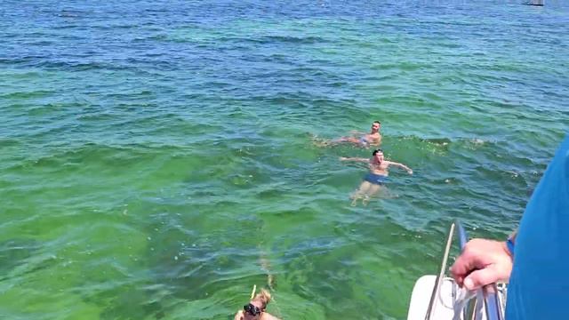 🇨🇺Varadero-снорклинг