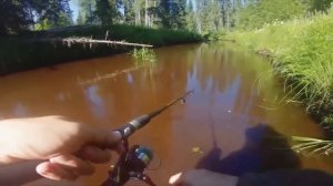 Встреча с Лешим Александром◾Сходили на рыбалку на хариуса◾ Готовим на костре