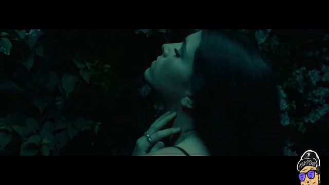 Tocarte - Raul Ibanez Jr (Video Concept) смотреть онлайн