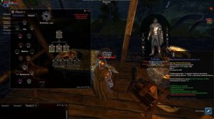 Обзор игры Shroud of the Avatar