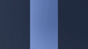 Ответ Саше дневник голубятник. Испания 40°  11/07/22.