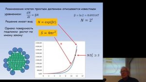 Заседание №1379. Минералогический семинар СО РМО