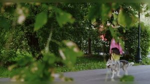 Две Девушки внезапно Пропали в Джунглях | Лисанн Фрон и Крис Кремерс