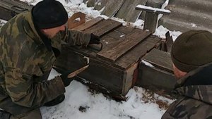 Притравка ягдтерьера по лисе в искусственной норе.