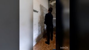 красивые стены без выравнивания