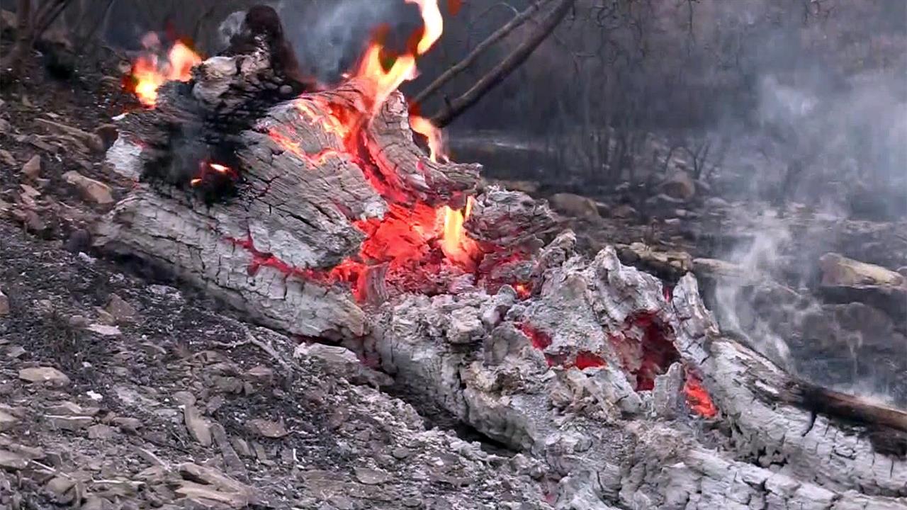 В Краснодарском крае в районе Геленджика тушат мощный природный пожар
