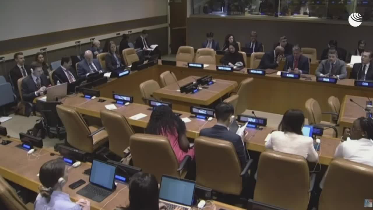 Заседание СБ ООН по Украине с участием Марии Львовой-Беловой