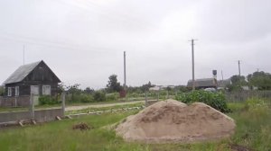 Малина,размножаем семенами