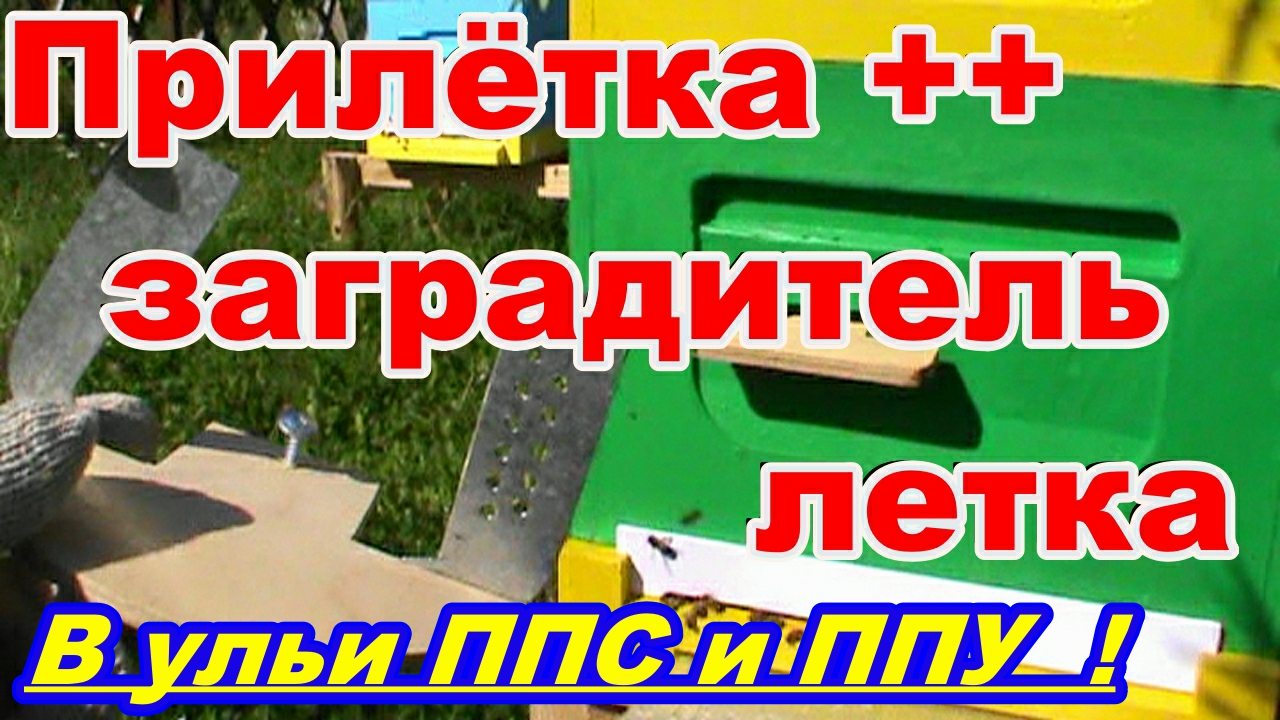 Прилётная доска + Заградитель летка в УЛЬИ из ППС и ППУ  Своими руками !