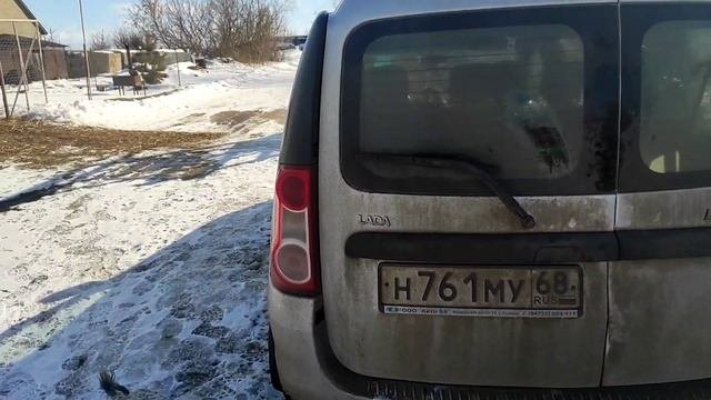 Пополнение в хозяйстве/Покупка поросят.