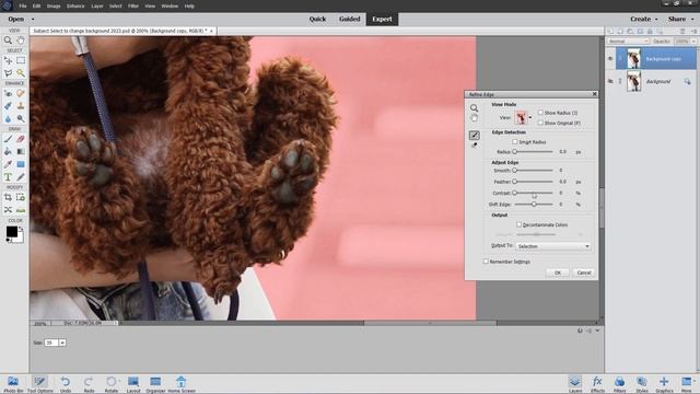 How to Use Subject Select in Photoshop Elements смотреть онлайн