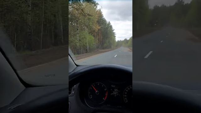 130КМ НА ЛЕСОВОЗАХ? НЕ СКОРОСТЬ. ? смотреть онлайн