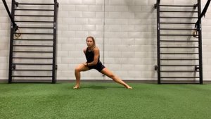 PRIMAL MOVEMENT Workout (Animal Flow)