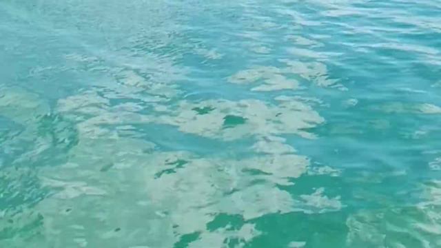 Сеанс рейки на гармонизацию всех сфер жизни Рейки для гармонизации всех сфер жизни relax music смотреть онлайн