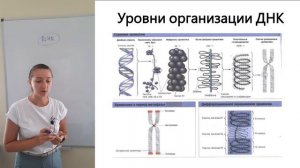 9.  Строение ДНК и РНК