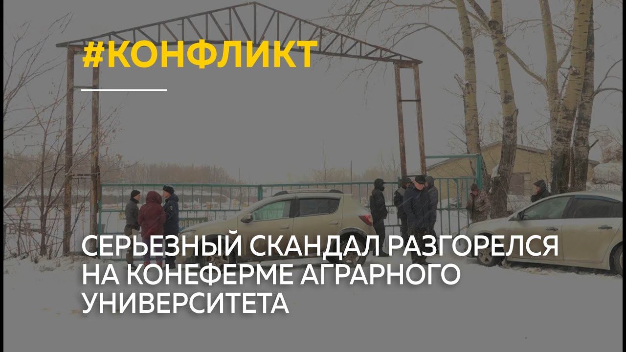 Серьезный скандал разгорелся на конеферме Алтайского аграрного университета