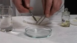 Взаимодействие щелочных металлов с водой