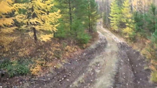 Регион 88 | За рябчиками смотреть онлайн