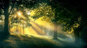 После усталости эта музыка устранит вашу бессонницу и сон придёт мигом