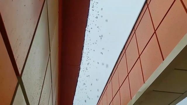 Почему осенью листья меняют цвет? Интересный вопрос! Сестрëнки Диденко провели своё расследование? смотреть онлайн