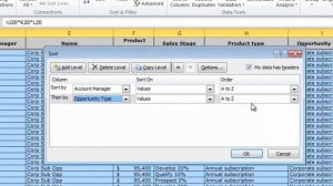 How to sort data by multiple columns using Microsoft Excel 2010