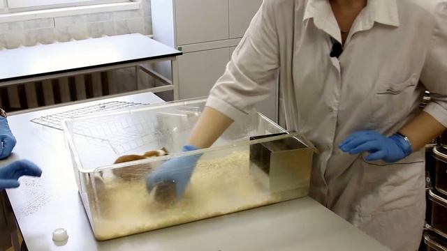 Как делают лекарства смотреть онлайн