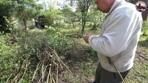 Victorinox HUNTER PRO - тест складного ножа охотника.  Викторинокс обзор ножа. EDC?