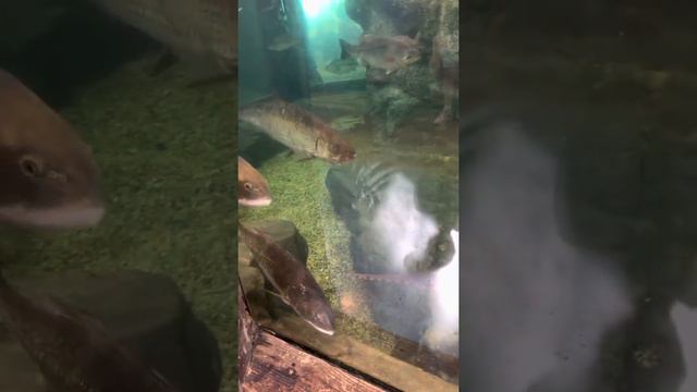 Магазин Охота и Рыбалка в US Рай для мужиков смотреть онлайн