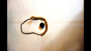 растительная клетка 5 класс