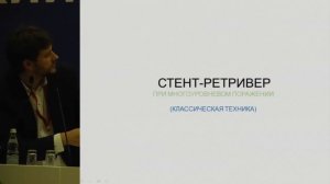 Д.В. Скрыпник, Эндоваскулярное лечение ишемического инсульта в Москве.