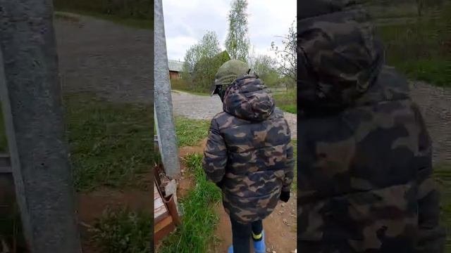 Чернобыль