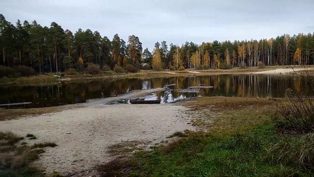 Парк для отдыха СКАЗКА Гусь-Хрустальный.#гусьхрустальный #сказка #деревяныефигуры