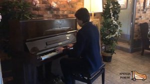 Пианино Petrof Concertino